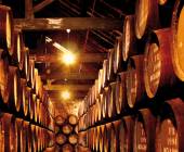 Discover Northern Portugal – Premium Adventure