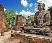 Sri Lankan Highlights