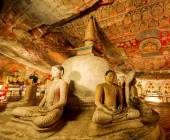 Sri Lankan Highlights