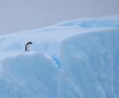 Crossing the Circle via Buenos Aires