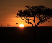 Kenya & Tanzania Adventure