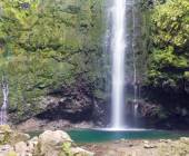 Marvels of Madeira Walk