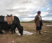 Cycling in Mongolia – Naadam Festival