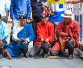 Ankle bone flicking, Naadam Festival