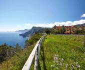 Marvels of Madeira Walk