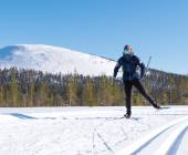 Cross-Country Skiing in Lapland