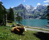 Classic Swiss Alps Walk