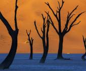 Botswana & Namibia: Delta & Dunes