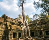 Angkor Wat Add-on Tour (from Ho Chi Minh City)