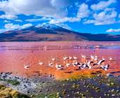 Cycle Chile & Argentina: Atacama to Salta