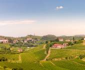 Goriska Brda a famous wine region of Slovenia located near Italy with the villages Smartno and Dobrovo. Sunrise and sunset looking over vineyards