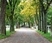 Lipica Stud Farm