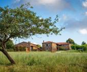 Highlights of the Camino de Santiago Walk