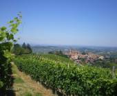 Gastronomic Barolo Walk