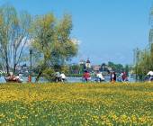 Highlights of Lake Constance by Bike