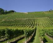 Passau to Vienna Cycling