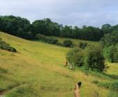 Best of the Cotswolds Self-Guided Walk