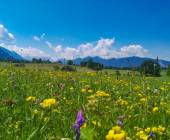 Lakes & Mountains of Bavaria Cycling