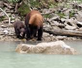Discover the Canadian Rockies