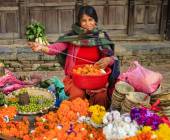 Everest Treks in Comfort