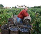 A Taste of Tuscany Cycling