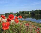 loire_valley_-_loire_river