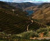 Cycling in the Douro Valley