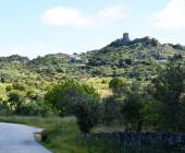 Cycling in the Douro Valley