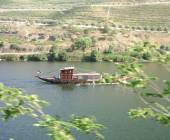 Cycling in the Douro Valley