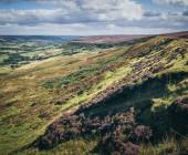 rosedale_railway_path_north_york_moor_NP