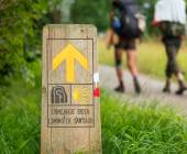 Walkers on the Caminso