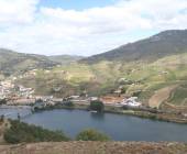 Cycling in the Douro Valley