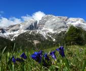 Walks in the Italian Dolomites