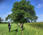 Best of the Cotswolds Self-Guided Walk