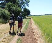 Best of the Cotswolds Self-Guided Walk