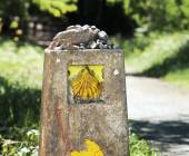 Highlights of the Camino de Santiago Walk