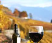 wine-and-cheese-in-vineyard