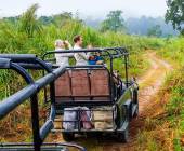 Chitwan Safari Add-on Tour