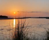 Chitwan Safari Add-on Tour