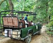 Chitwan Safari Add-on Tour