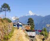 Annapurna to Chitwan: Walks & Wildlife