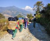 Annapurna to Chitwan: Walks & Wildlife
