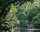 Boat tour Tortuguero canals