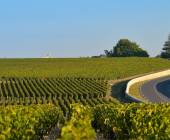 bordeaux-vineyards
