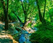 clarios_creek_-_kakopetria