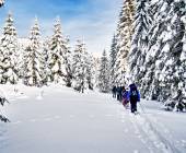 Snowshoeing in the Dolomites – Premium Adventure