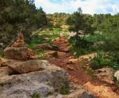 adonis_aphrodite_trails_shutterstock_1592874955