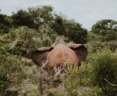 Cape Town & the Garden Route