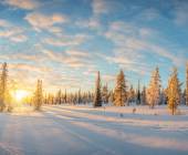 Finland Family Winter Adventure