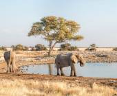 Botswana & Namibia: Delta & Dunes